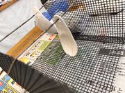 くったさんの湘南七宝燒の投稿写真1