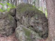 あきぼうさんの大滝湧水つり堀の投稿写真2