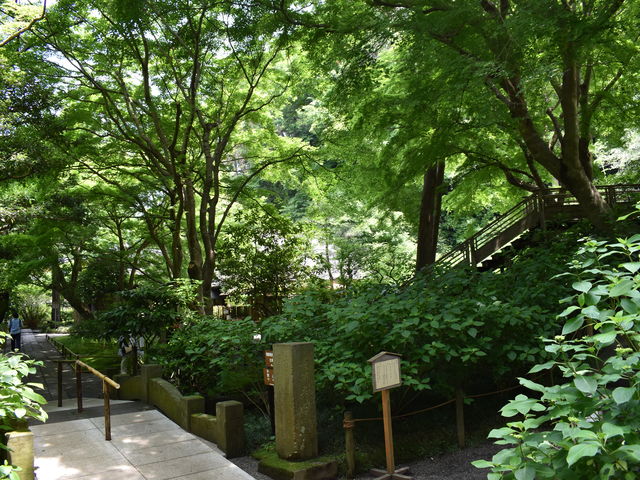 やぐら(明月院)