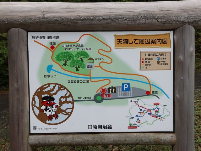 大朝町 テングシデ群_テングシデ群落