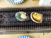 くすやんさんのいわほ観光汽船の投稿写真2