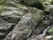 ああああさんの棒ノ嶺の投稿写真6