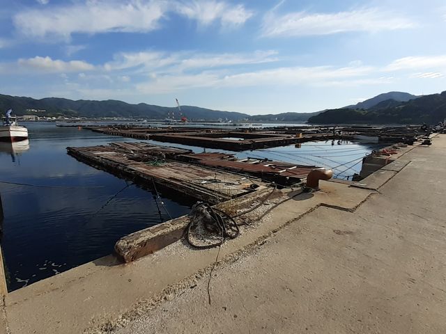 朝、海沿いを散策_淡路じゃのひれオートキャンプ場