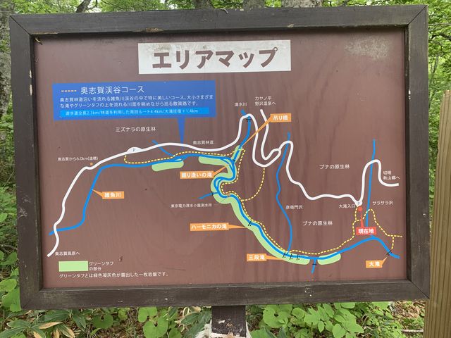 大ちゃんさんの大滝の投稿写真1