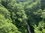 大ちゃんさんの蛇淵の滝【秋山郷】の投稿写真6