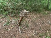 大ちゃんさんの大滝の投稿写真7
