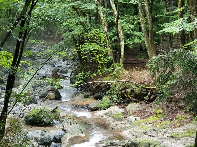目の前は道志川が流れ、渓流のせせらぎに癒やされます!_モモンガの森