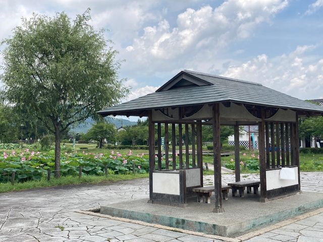 高松城址_高松城址