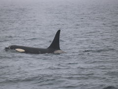 株式会社知床アルランの写真1