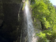 イワダイさんの棚下不動の滝の投稿写真2
