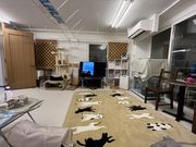 まみちゃんさんの保護猫シェルター おうちにおいで。の投稿写真1