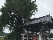 Shotaさんの妙国寺の投稿写真1