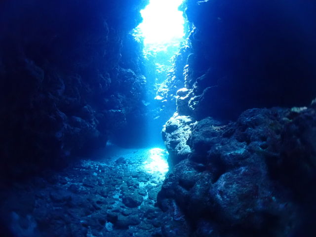 ダイビング中の写真のひとつです。_Relax Dive BANANA 石垣島