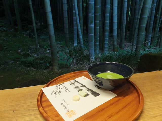 竹の庭を眺めつつ_休耕庵