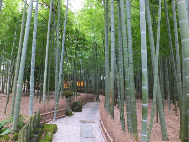 竹林の奥にあります_休耕庵