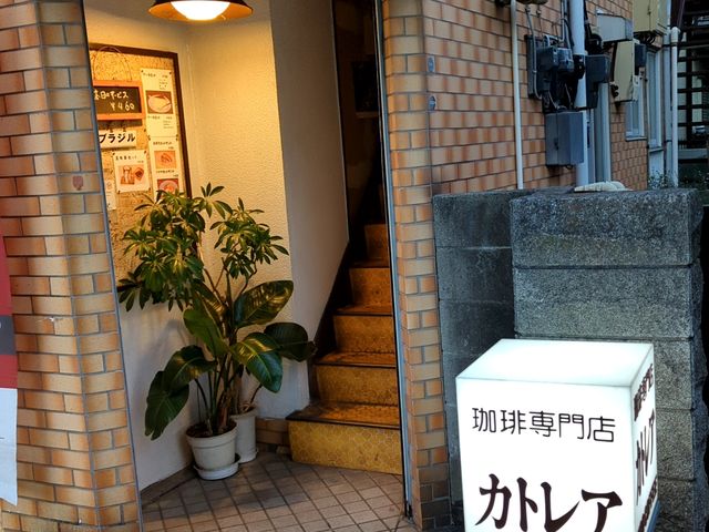 入り口の階段は少し狭いです。_カトレア