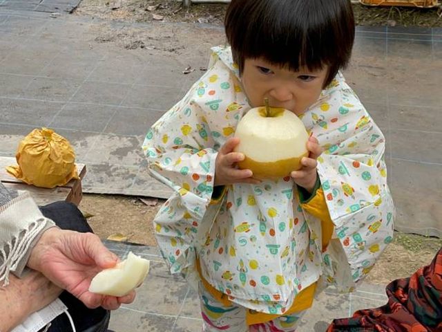 何個目?_梨の錦光園