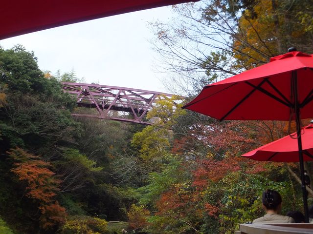 見上げると、あやとり橋が見えます。_鶴仙渓川床