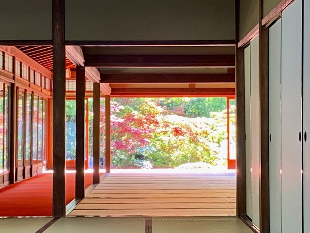 天授庵_南禅寺の紅葉