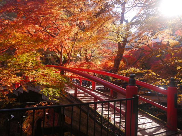 河鹿橋