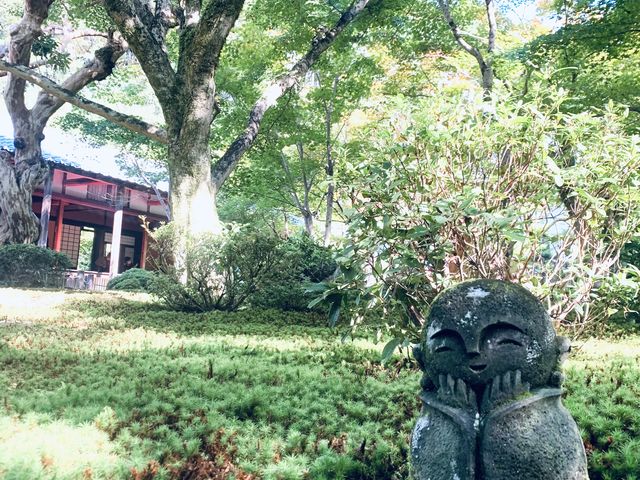 素敵なお庭でした_Fun Cycling 京都