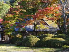 弘川寺の写真2