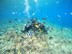 アルデバランさんの沖縄ゴリダイブへの投稿写真1