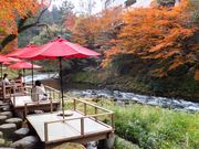 こぼらさんの鶴仙渓川床の投稿写真1