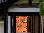 niniさんの南禅寺の紅葉の投稿写真2