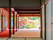 niniさんの南禅寺の紅葉の投稿写真3