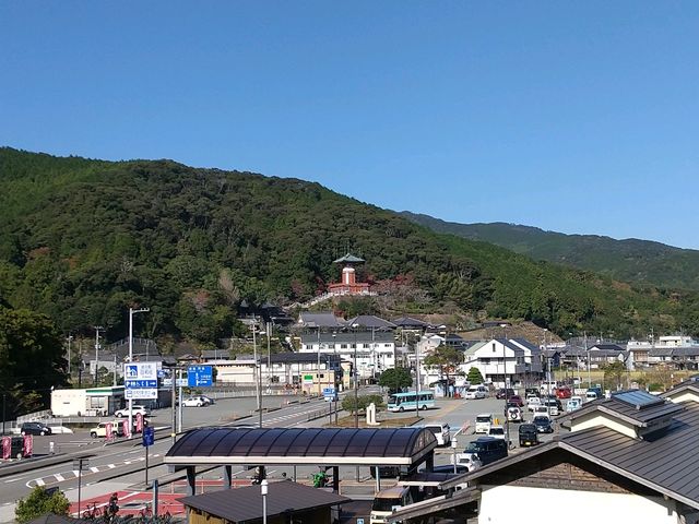 道の駅から見た薬王寺_道の駅 日和佐