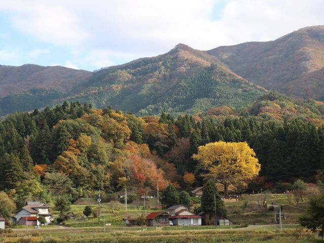 島根県奥出雲町 金言寺_金言寺