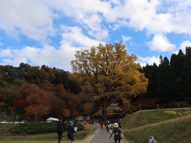 島根県奥出雲町 金言寺_金言寺