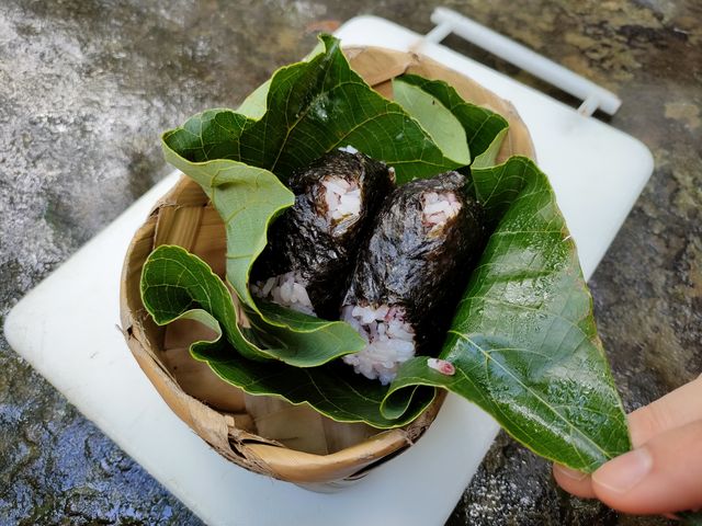 手作りおにぎり_西表島アレンジツアー漕屋KAGUYA