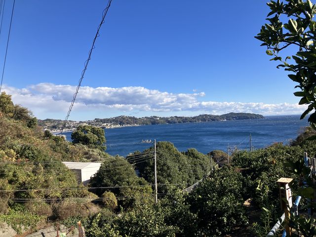 初島と大島も見えました。_もんがわアグリパーク