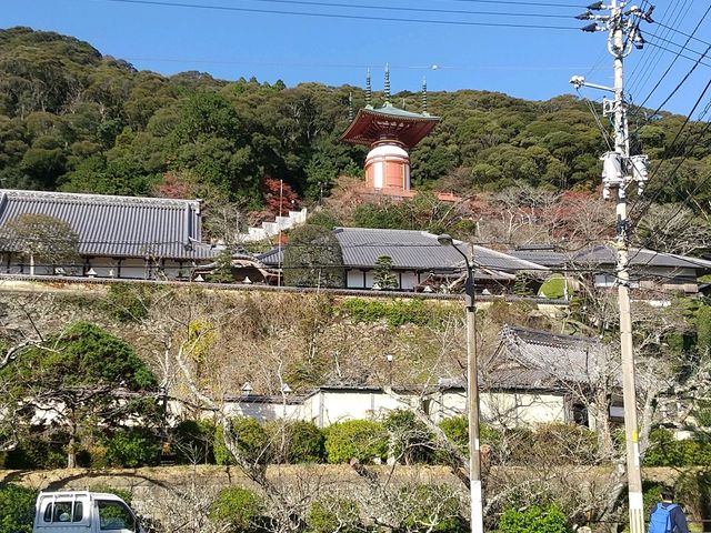 駐車場から_薬王寺 瑜祇塔