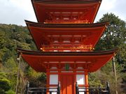 サクラサクさんの清水寺子安の塔の投稿写真1
