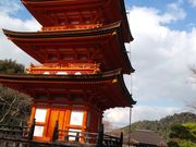 サクラサクさんの清水寺子安の塔の投稿写真2