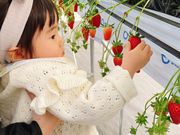 ゆきこさんのサニーさんファームの投稿写真2