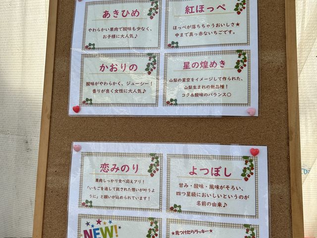 品種の説明一覧_苺畑農場