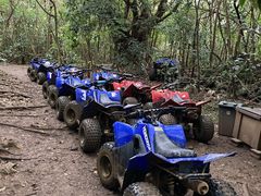 ととろんさんのガジュマルンチャー糸満店への投稿写真1