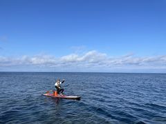 やまちゃんさんのDSF石垣島への投稿写真1