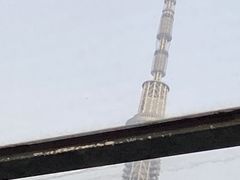 エミリンさんの東京都観光汽船への投稿写真1