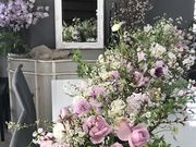 アリエルさんのM couleurの投稿写真1