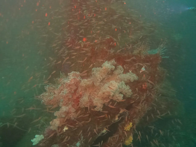 沈船甲板_アトリエラウト