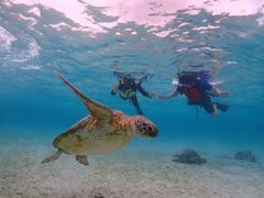 シュノーケルツアー わ〜らの写真1