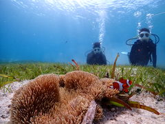 ayaさんのちゃこたびへの投稿写真1