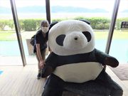 こぼらさんの大江戸温泉物語 南紀串本の投稿写真5