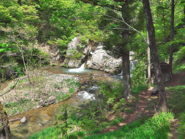 sklfhさんの千古の滝の投稿写真1