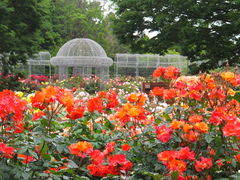 ニコちゃんさんの小田原フラワーガーデンへの投稿写真1